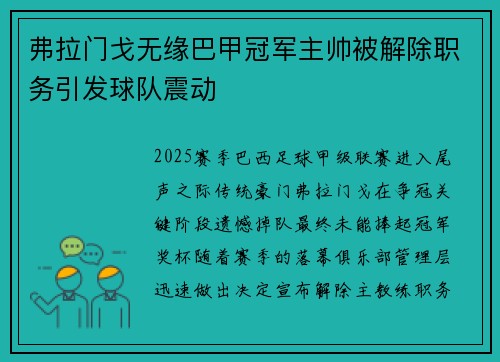 弗拉门戈无缘巴甲冠军主帅被解除职务引发球队震动 弗拉门戈无缘巴甲冠军主帅被解除职务引发球队震动