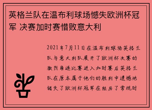 英格兰队在温布利球场憾失欧洲杯冠军 决赛加时赛惜败意大利 英格兰队在温布利球场憾失欧洲杯冠军 决赛加时赛惜败意大利